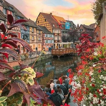 Loft Ravissant A Proximite D'europa Park Et Strasbourg