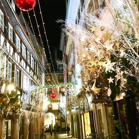 Loft Ravissant A Proximite D'europa Park Et Strasbourg Erstein